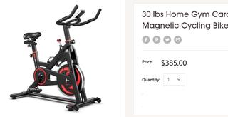 sm276 30 Lbs Home Gym Cardio Exercise Magnetic Cycling Bike